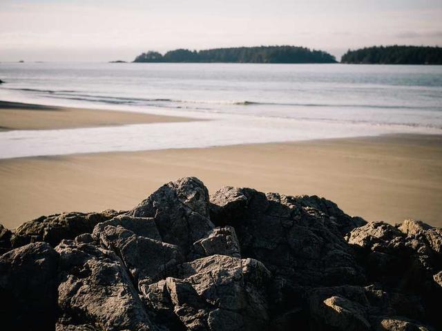 gertrude_reilly_OvLL