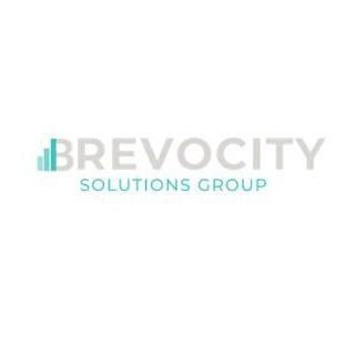 Brevocity Solutions Group