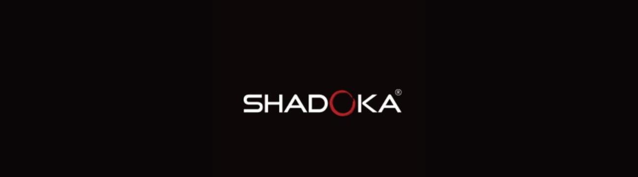 Shadoka Architecting Enterprise  